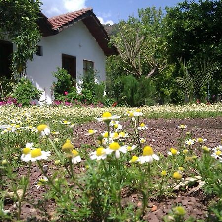 Engin Pension Çıralı Buitenkant foto