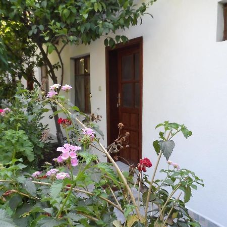 Engin Pension Çıralı Buitenkant foto