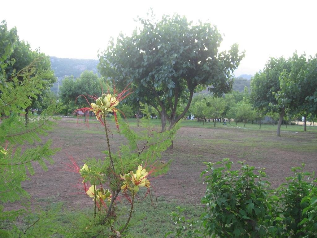 Engin Pension Çıralı Buitenkant foto