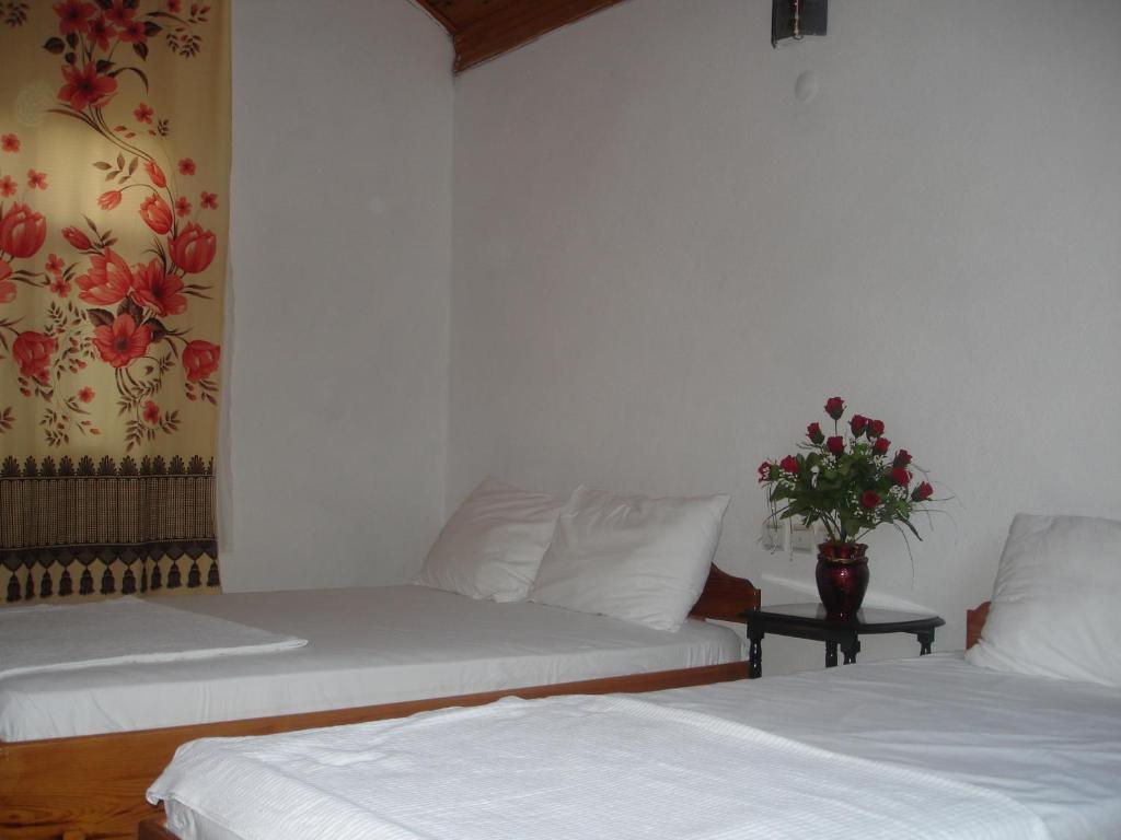 Engin Pension Çıralı Kamer foto