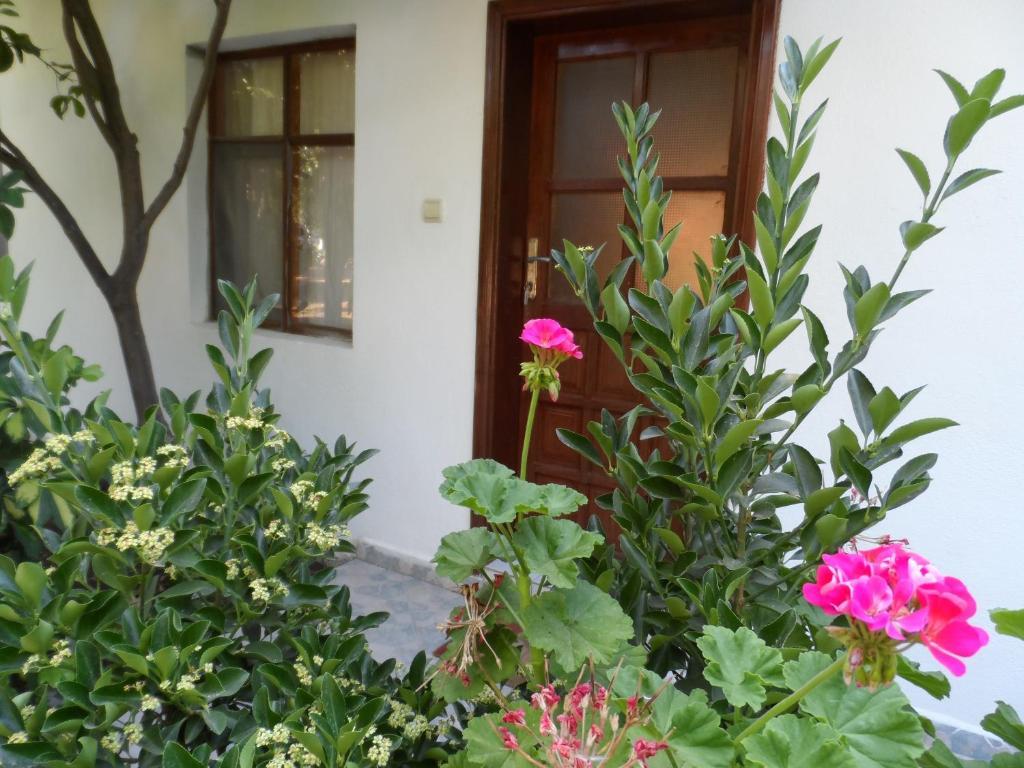 Engin Pension Çıralı Kamer foto