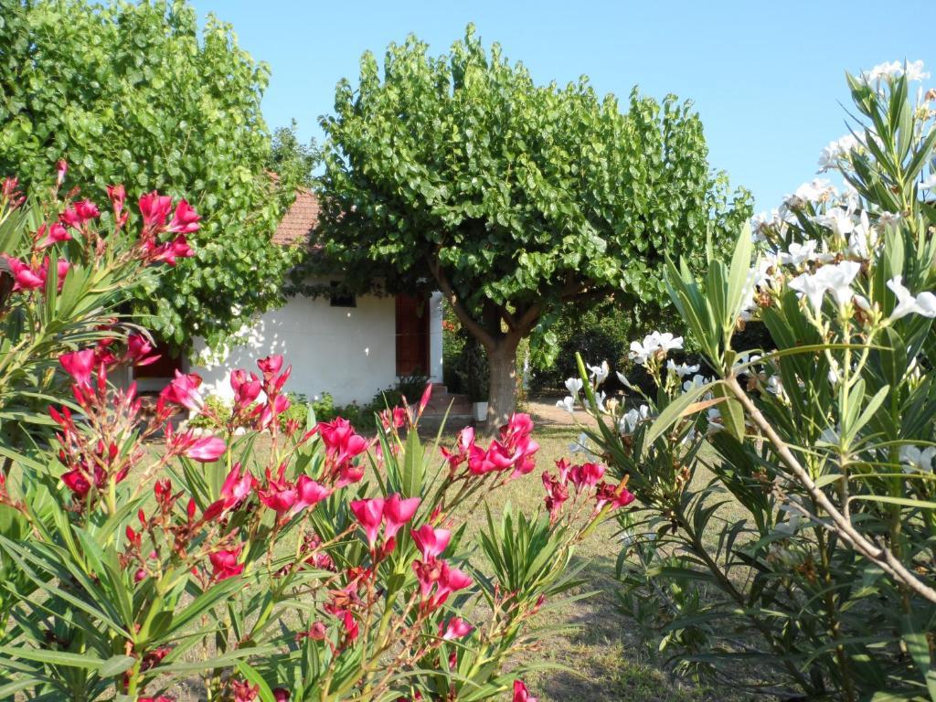 Engin Pension Çıralı Buitenkant foto