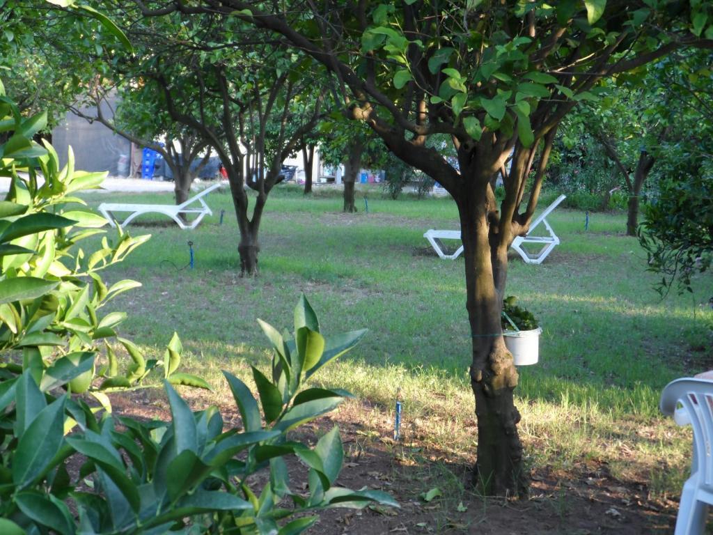 Engin Pension Çıralı Buitenkant foto